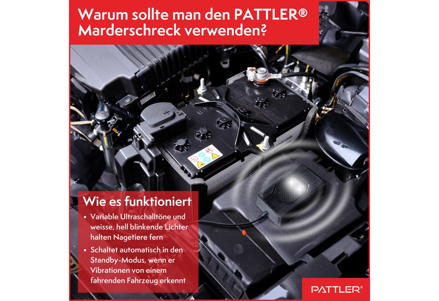 Pattler Ultraschall-Tierabwehr Marderschreck mit Ultraschall und Blitzlicht, 2 Geräte Bild 2