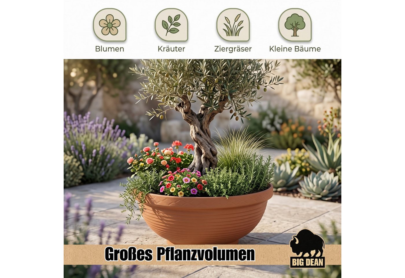 BigDean Pflanzschale Pflanzschale groß ø65cm Anthrazit XXL Schale rund für Miniteich, Wetterfest, UV-Beständig, Rillenmuster Bild 3