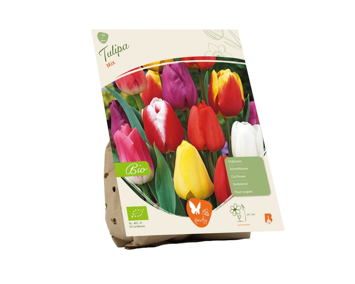 Blumensamen Bio-Blumenzwiebeln Tulpen-Mix.