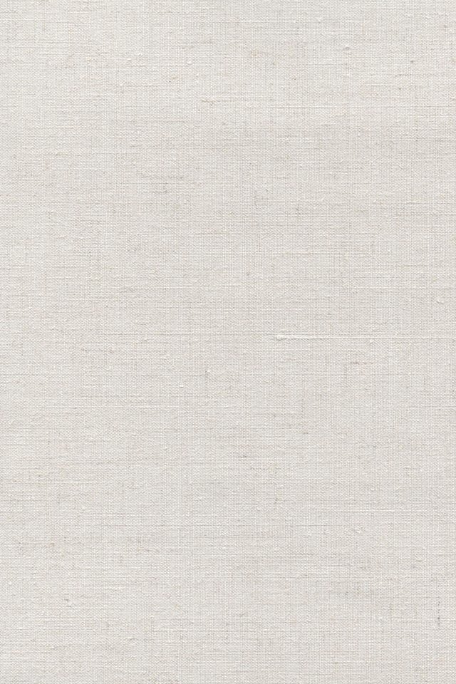 Rollo Basisrollo Struktur Tageslicht Graubeig, LYSEL®, blickdicht, HxB 175x62cm Bild 2