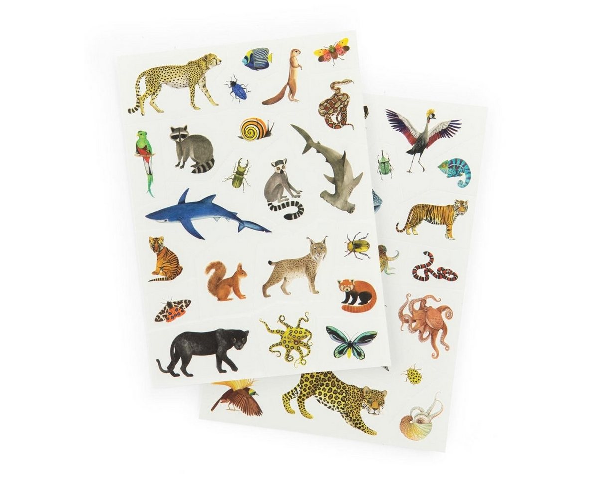 Moulin Roty Kreativset Tattoos Tiere Kreativset für kreative Kinder zum Gestalten ab 3 Jahren, Kreativset Bild 3