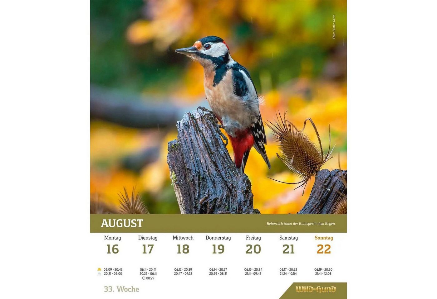 Wandkalender WILD UND HUND Edition: Jagdkalender Wandvariante 2027