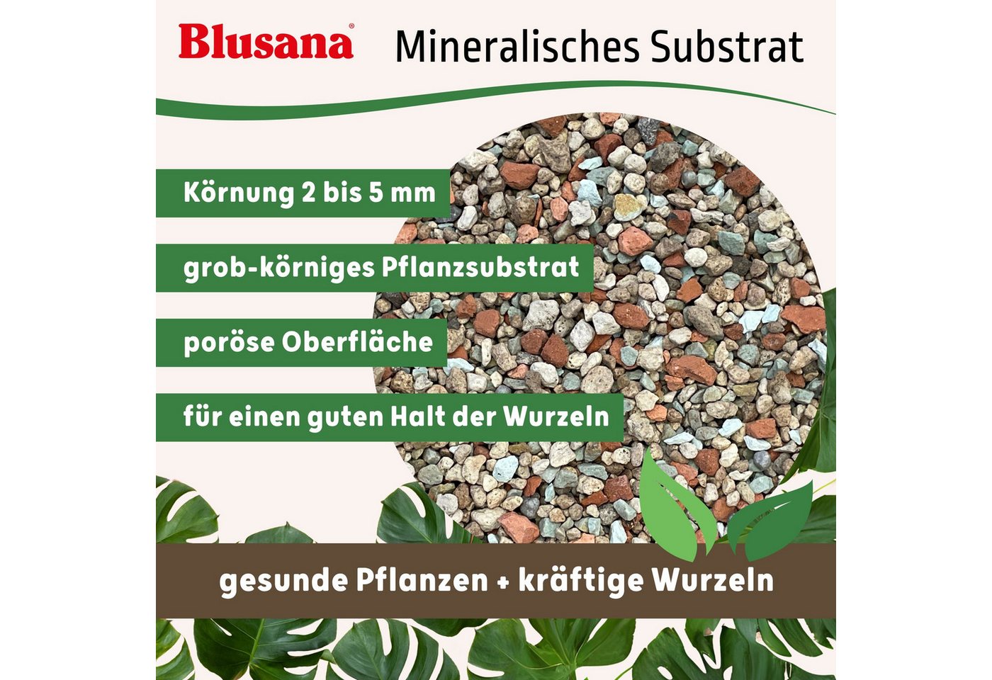 LENI Blumentopf Atlas Blumentopf Kunststoff matt 11/09 Hydro-Komplettset 4er-Pack Weiß (Hydrokultur-Set, Übertopf, Kulturtopf, Gießanzeige, Substrat vorgedüngt, Flüssigdünger), wasserdichtes Pflanzgefäß für Indoor & Outdoor Bild 5