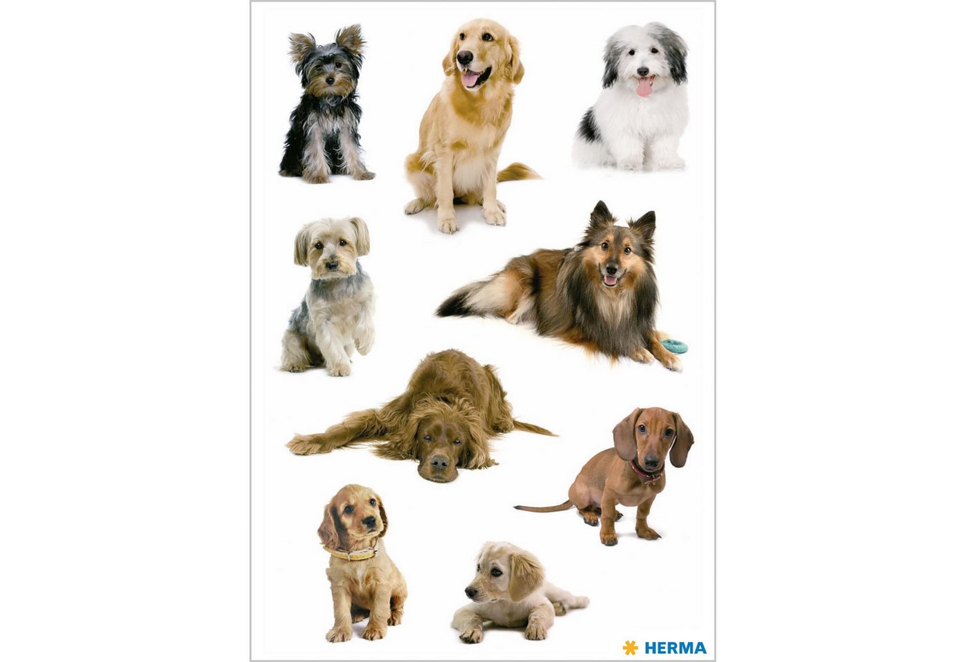 HERMA Sticker Herma Sticker DECOR Tiere Hundefotos 3 Bl Bild 3