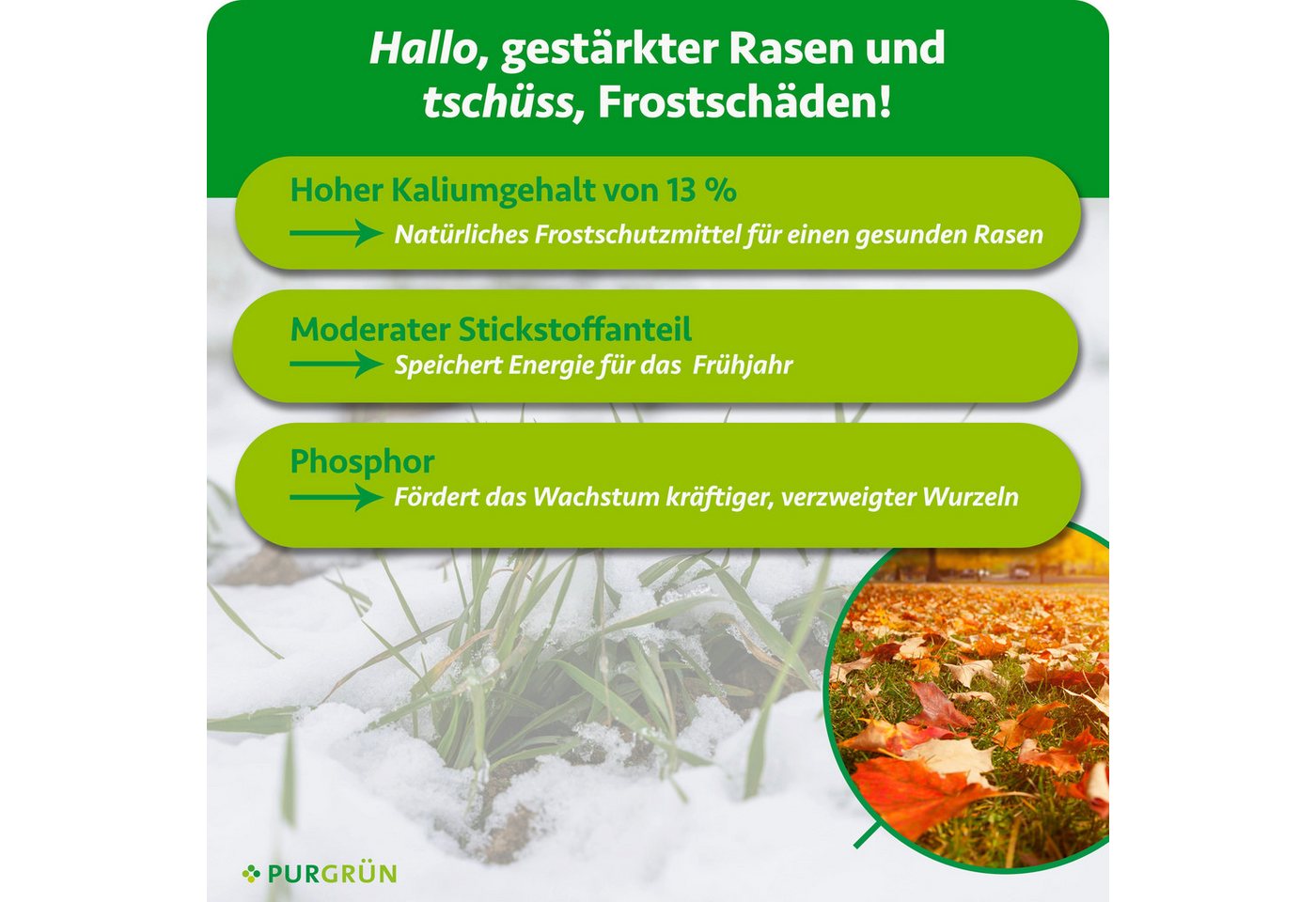 Purgrün Rasendünger Herbstrasendünger, NPK 6+3+13, Kalium, 10 kg, Granulat, 1-St., 10 kg