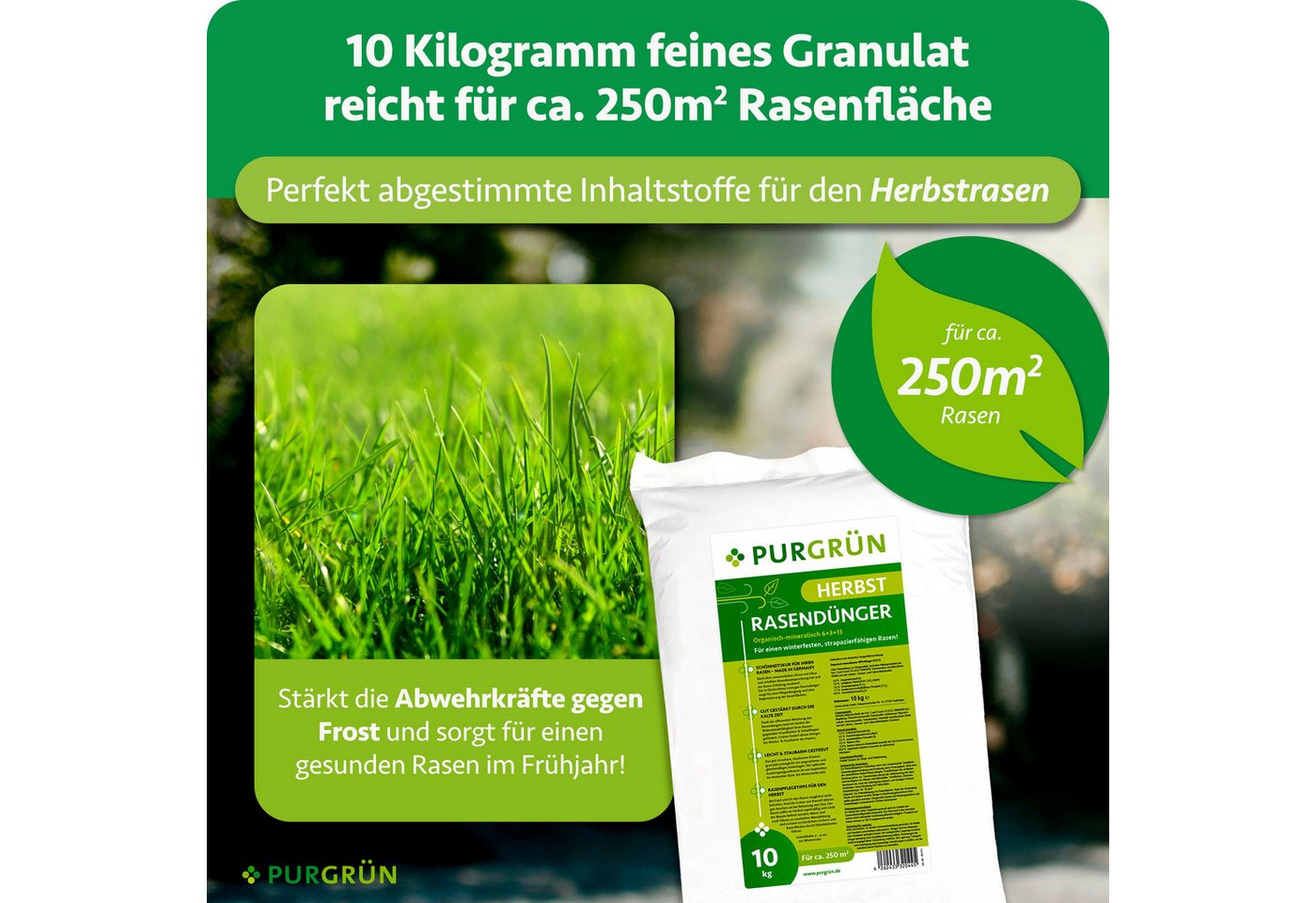 Purgrün Rasendünger Herbstrasendünger, NPK 6+3+13, Kalium, 10 kg, Granulat, 1-St., 10 kg Bild 2