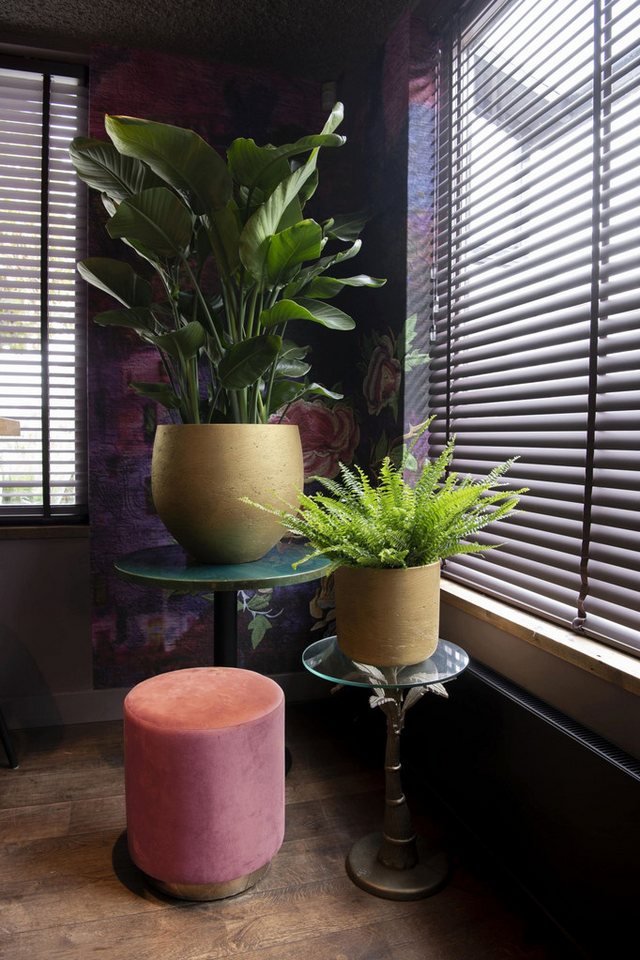 finestgreen Pflanzkübel Orb Gold, Frostfest & UV-beständig – für Innen- und Außenbereich Bild 4