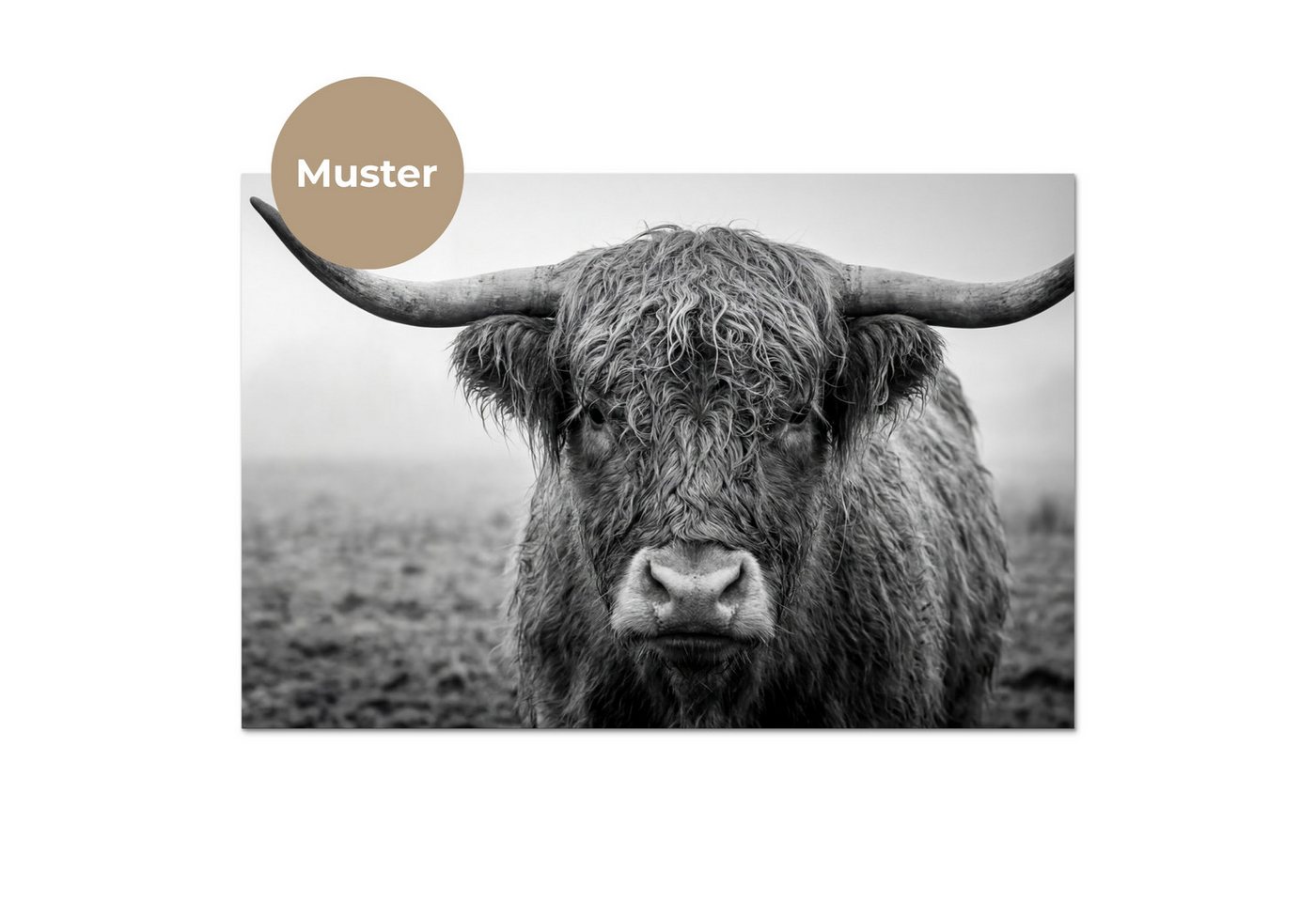KitchenYeah Küchenrückwand Muster selbstklebend (keine Folie) Schottischer Highlander - Schwarz -, (1-tlg), Spritzschutz, Küche, Rückwand, Küchenwand, Küchenfront, 30x20 cm Bild 2