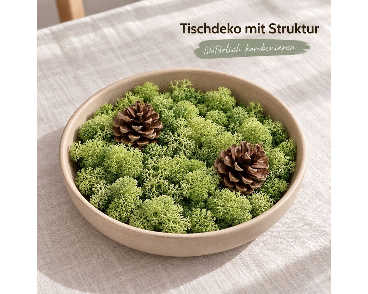 NaDeco Bastelnaturmaterial Islandmoos Waldgrün 500g