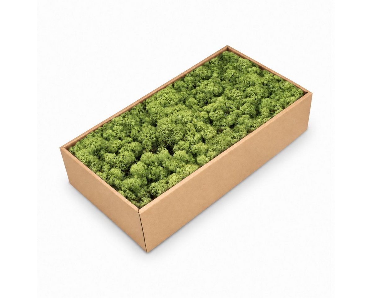 NaDeco Bastelnaturmaterial Islandmoos Waldgrün 500g Bild 2