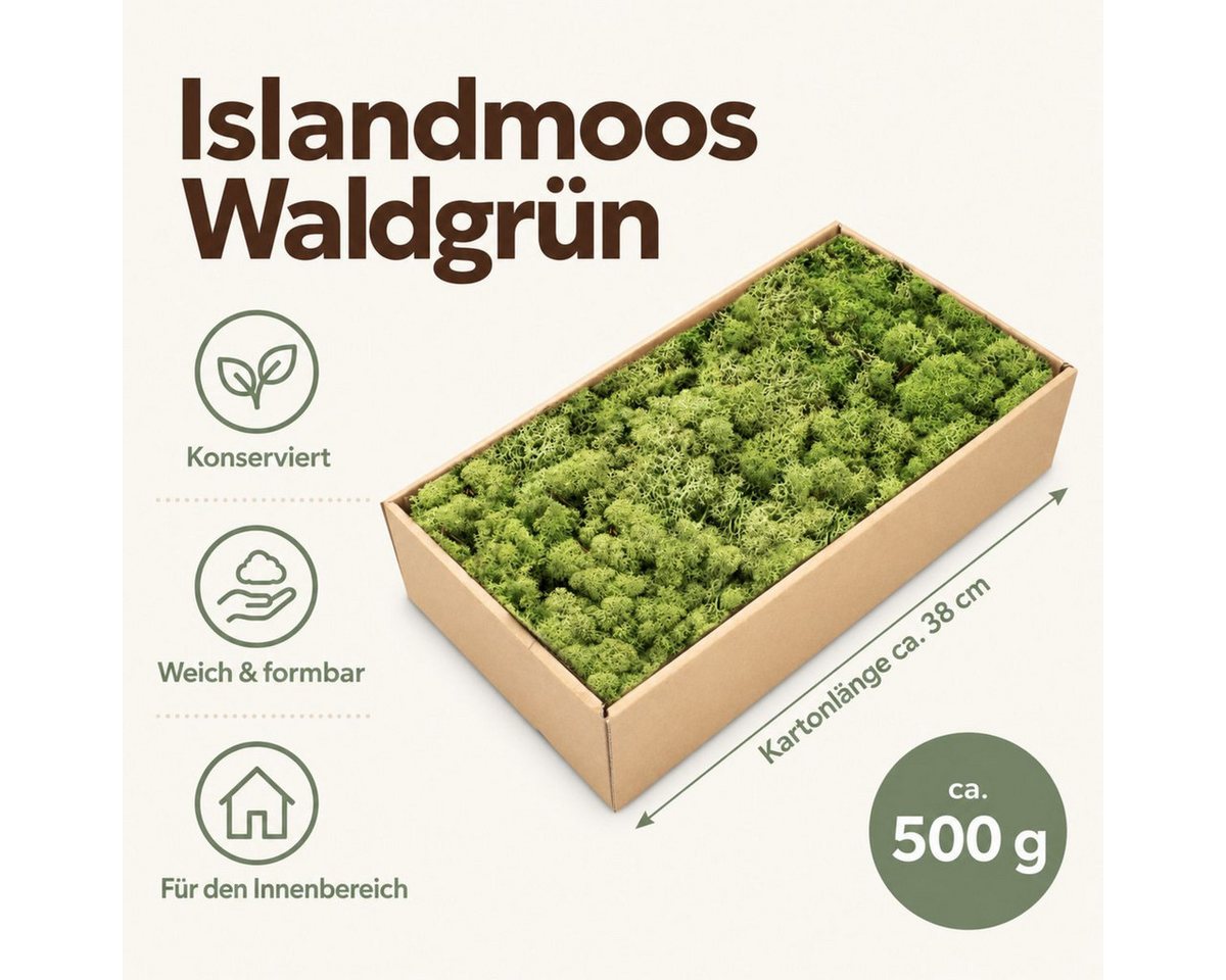 NaDeco Bastelnaturmaterial Islandmoos Waldgrün 500g Bild 3