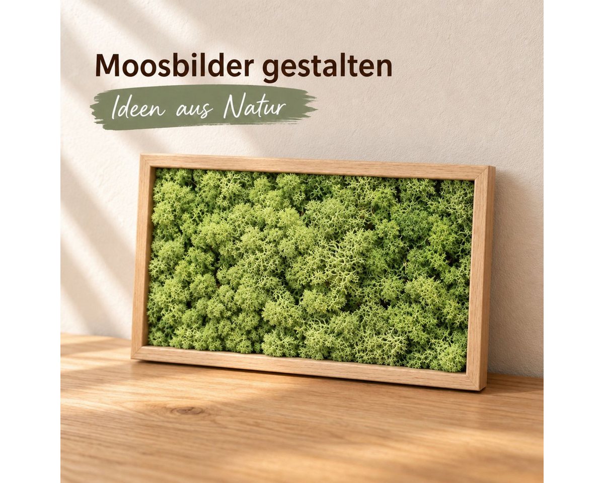 NaDeco Bastelnaturmaterial Islandmoos Waldgrün 500g Bild 4