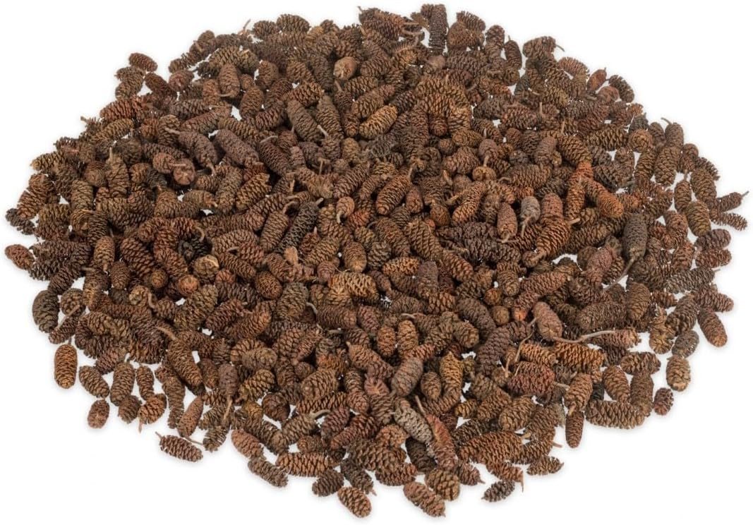 NaDeco Bastelnaturmaterial Erlen-Zapfen in Natur, Packung mit ca. 250g Alnus glutinosa