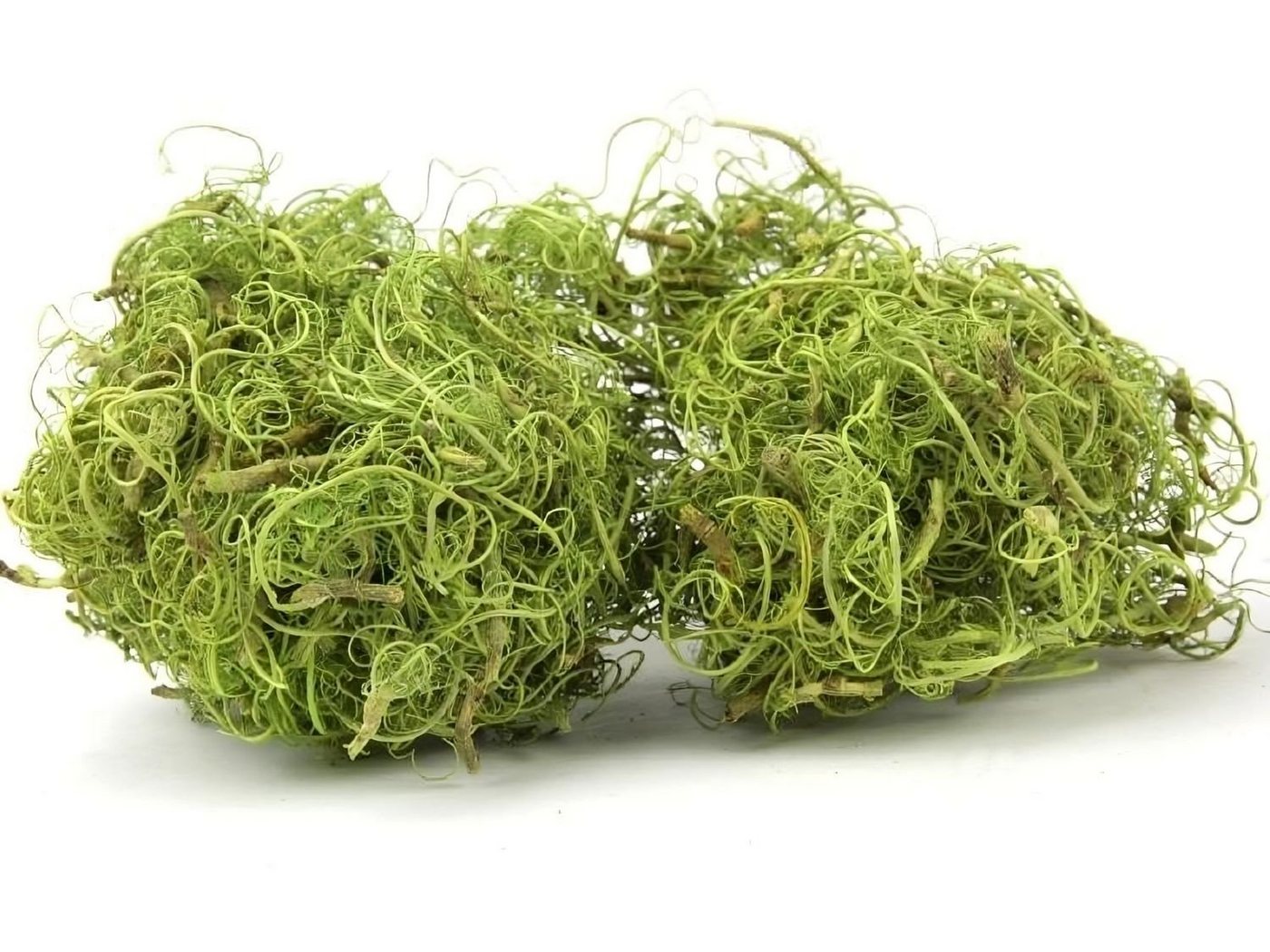 NaDeco Bastelnaturmaterial Curly Moos, Grün, 50 g Dekomoos Floristik Modellbau