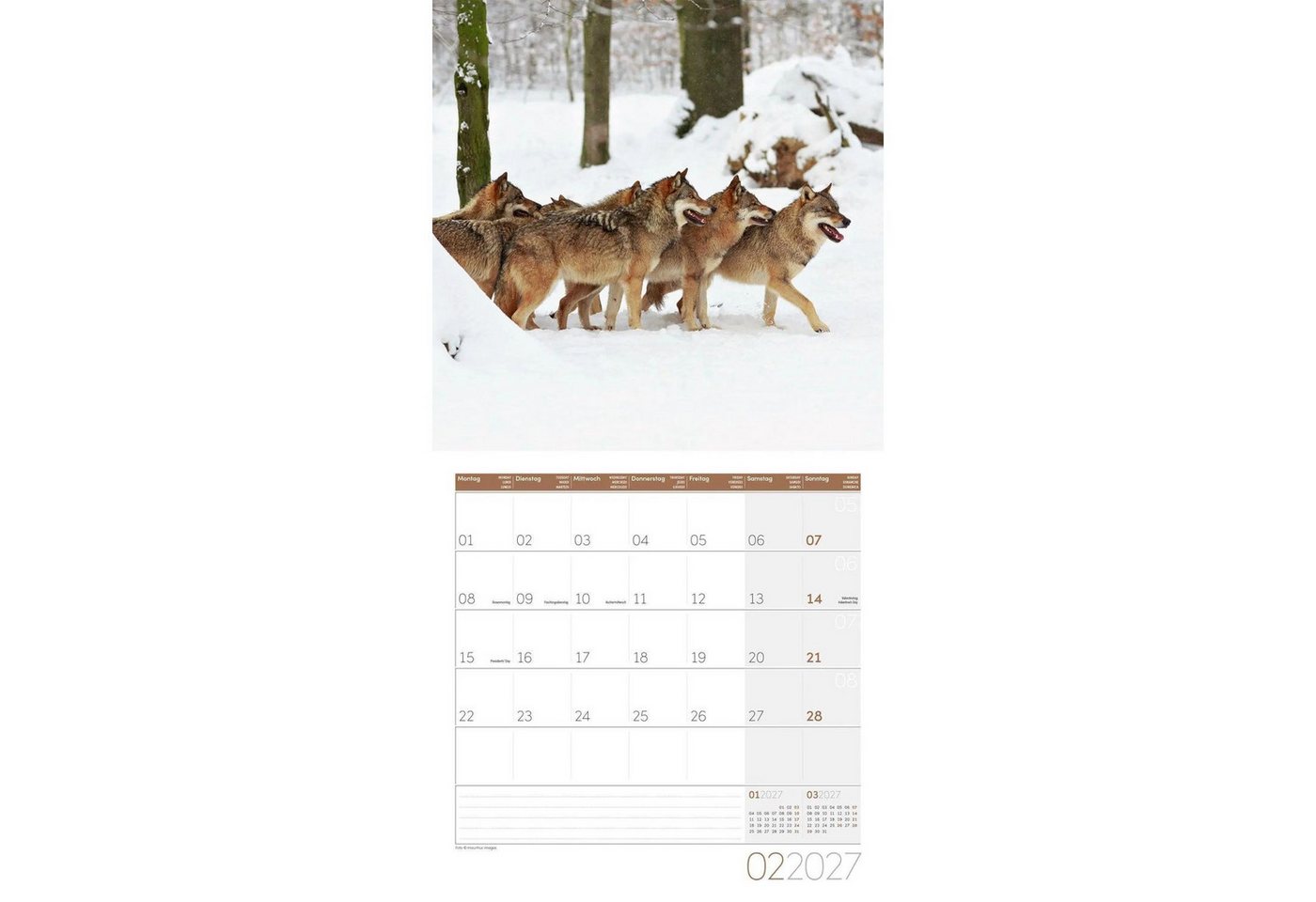 Ackermann Wandkalender Wölfe Kalender 2027 - 30x30 - Art12