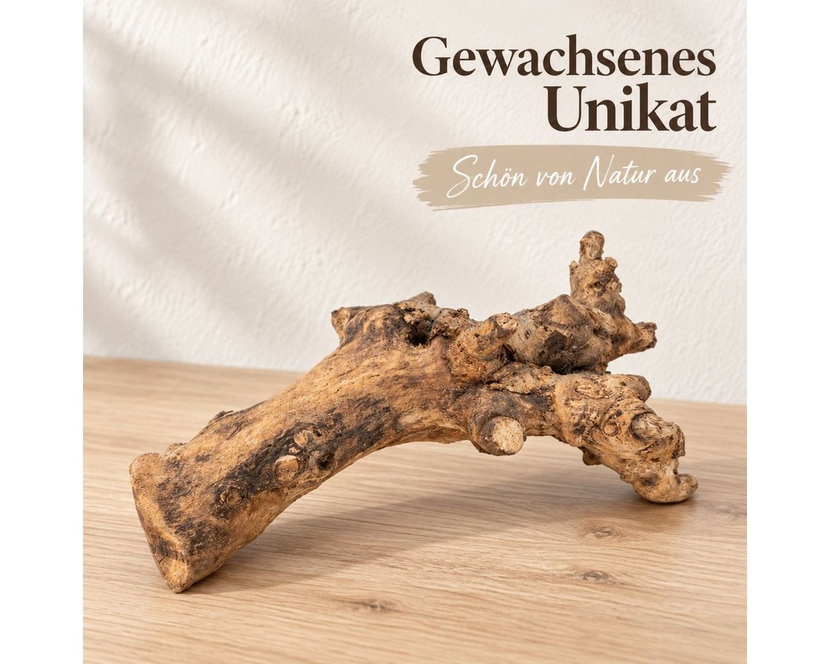 NaDeco Bastelnaturmaterial Kuwa Deko-Wurzel, Maße ca. 25-30cm