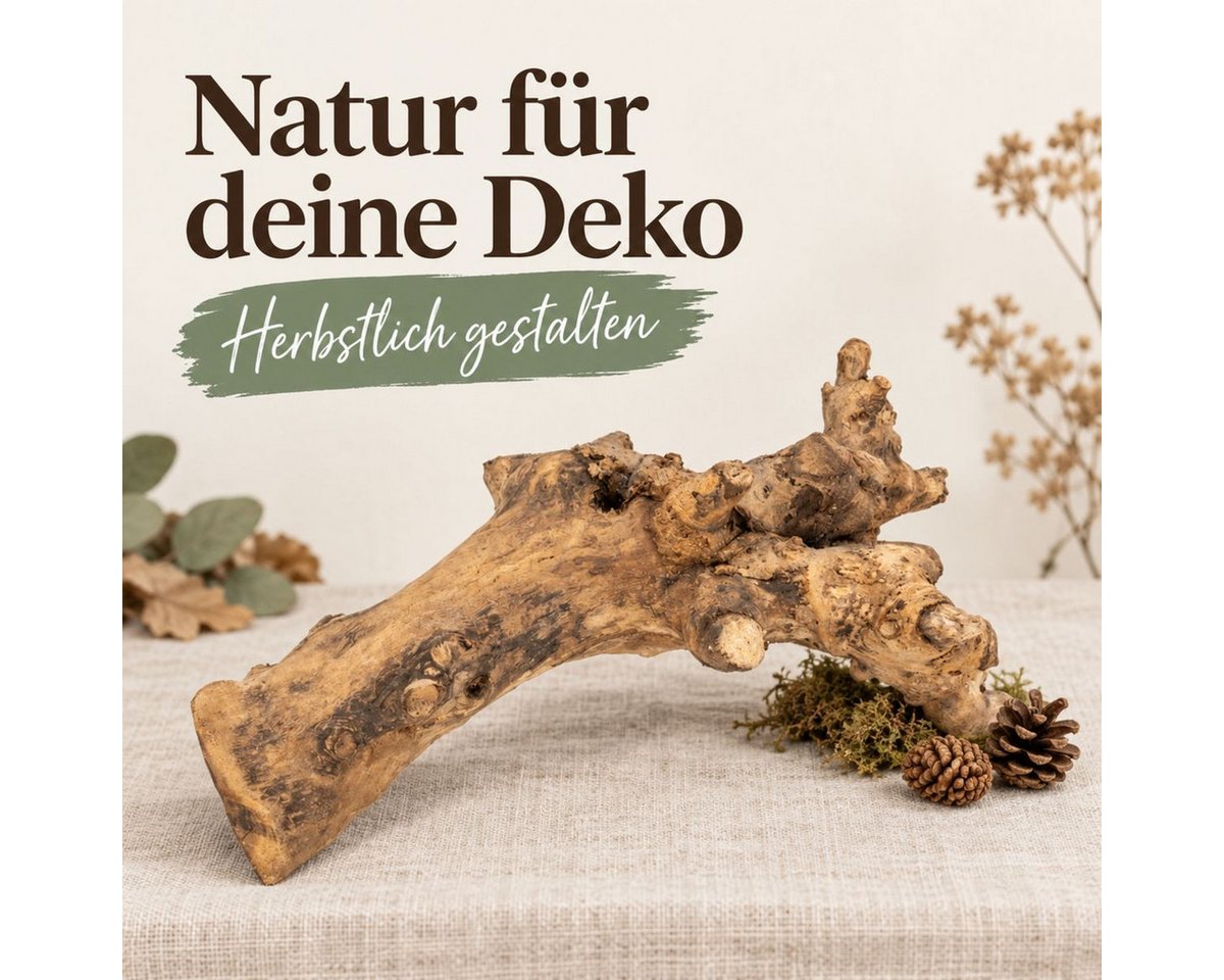 NaDeco Bastelnaturmaterial Kuwa Deko-Wurzel, Maße ca. 25-30cm Bild 3