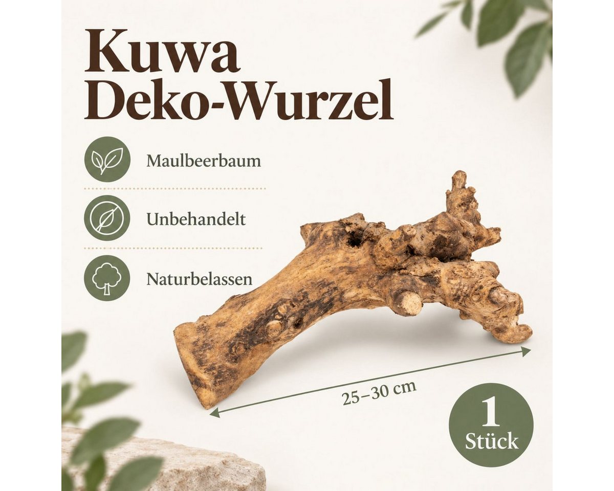 NaDeco Bastelnaturmaterial Kuwa Deko-Wurzel, Maße ca. 25-30cm Bild 4