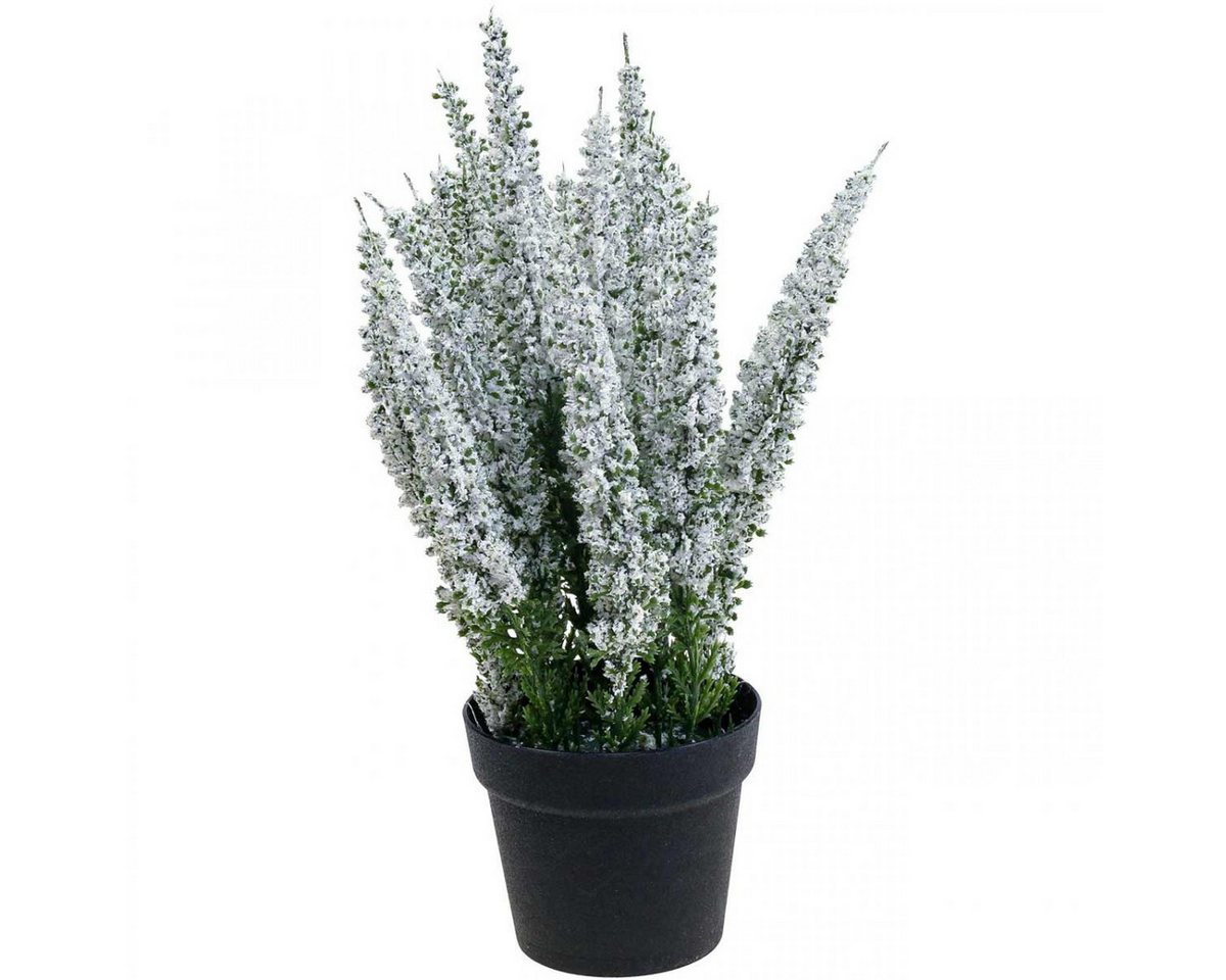 Winterliche Kunstpflanze Erika Weiß Heidekraut Kunstpflanze Deko 26cm Calluna Vulgaris, Florists Products, Höhe 26 cm
