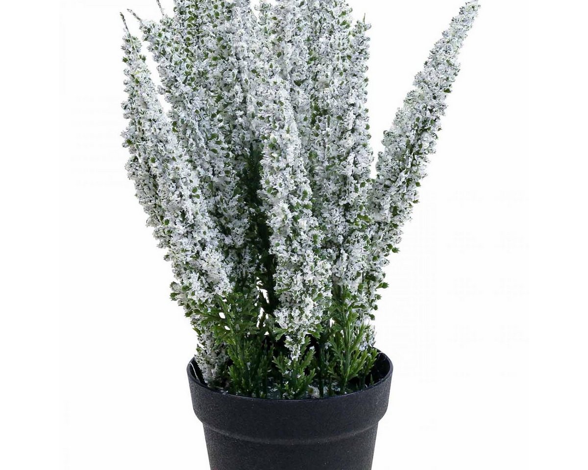 Winterliche Kunstpflanze Erika Weiß Heidekraut Kunstpflanze Deko 26cm Calluna Vulgaris, Florists Products, Höhe 26 cm Bild 2