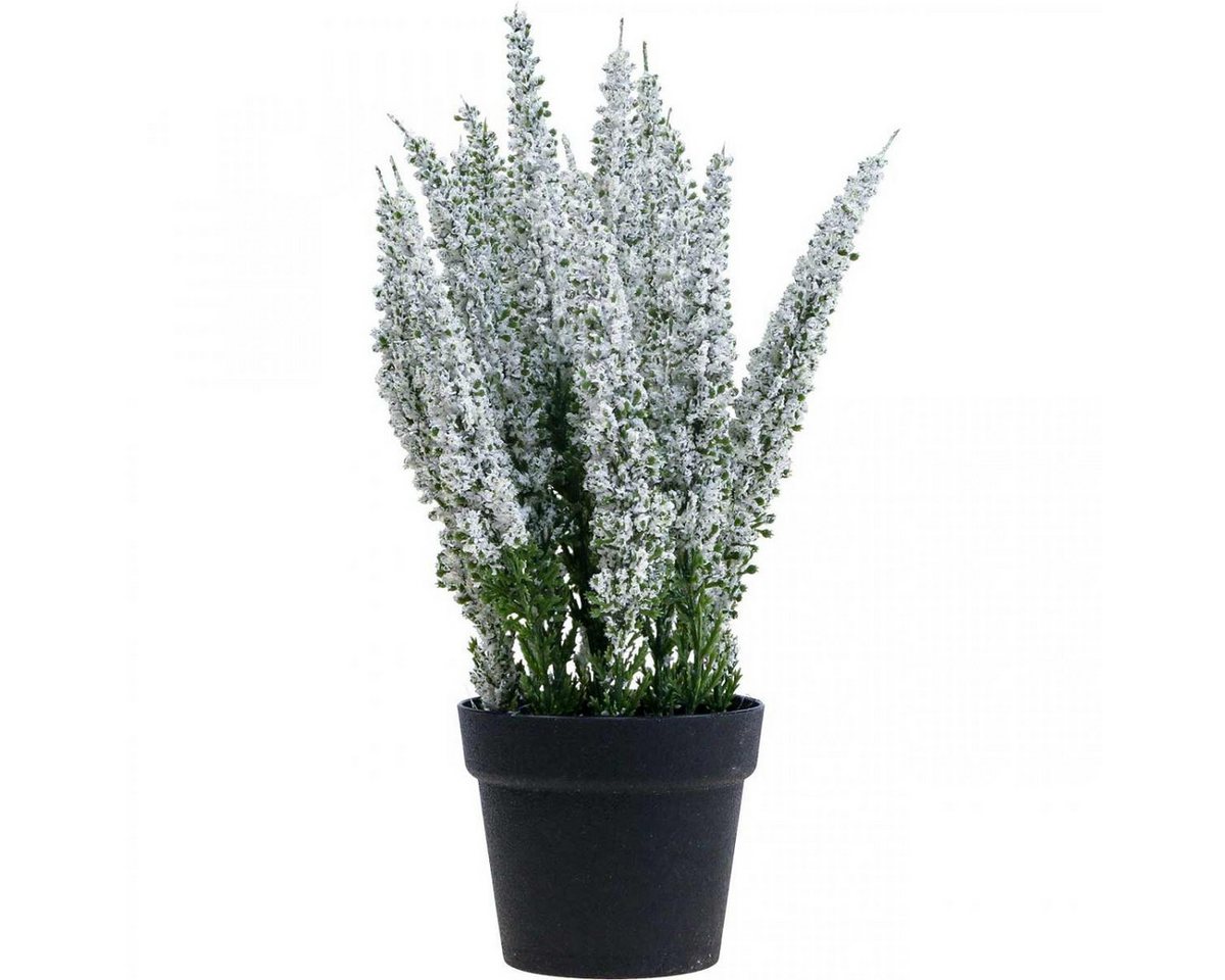 Winterliche Kunstpflanze Erika Weiß Heidekraut Kunstpflanze Deko 26cm Calluna Vulgaris, Florists Products, Höhe 26 cm Bild 3
