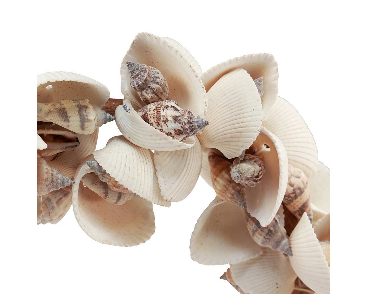 DIJK Bastelnaturmaterial Maritimer Muschelkranz Deko Ø33cm - Maritime Hängedeko für