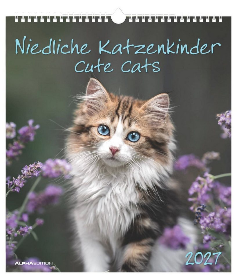 NEUMANN Wandkalender Niedliche Katzenkinder 2027