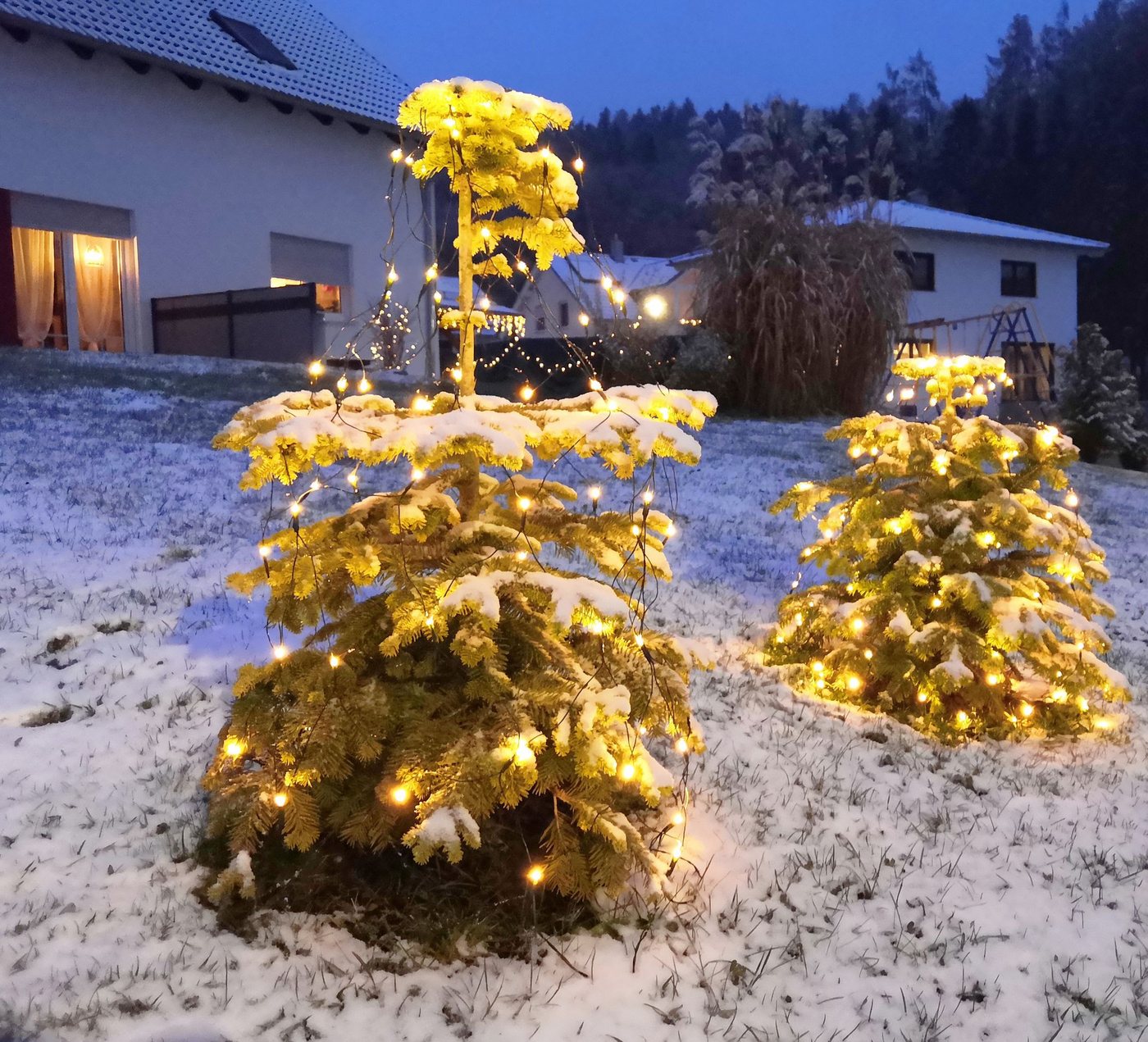 Coen Bakker Deco BV LED-Lichternetz LED Lichternetz Trapez Kegel Warmweiß Netz für Weihnachtsbaum Baum, 80-flammig, 80 LEDs geeignet für Bäume mit einer Höhe von 0,90m - 1,30m