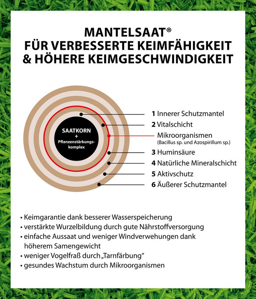 Dehner Rasensamen Herbst-Nachsaat Saatgut, schnell keimend, regenerierend, 750 g, 25 m², robust, nährstoffreich, ideal nach dem Sommer, pflegeleicht Bild 3