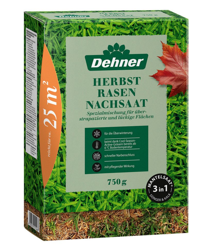 Dehner Rasensamen Herbst-Nachsaat Saatgut, schnell keimend, regenerierend, 750 g, 25 m², robust, nährstoffreich, ideal nach dem Sommer, pflegeleicht Bild 4