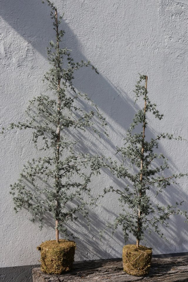 Winterliche Kunstpflanze Zeder VITA, Bloomingville, Höhe 120 cm Bild 2