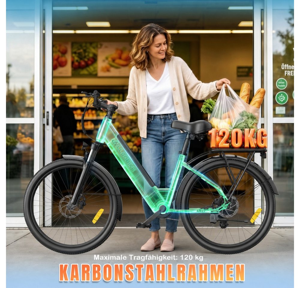 SSY E-Bike Elektrofahrrad fur Erwachsene, Heckmotor, (Komfortables E-Bike für Damen), Rahmen aus Karbonstahl