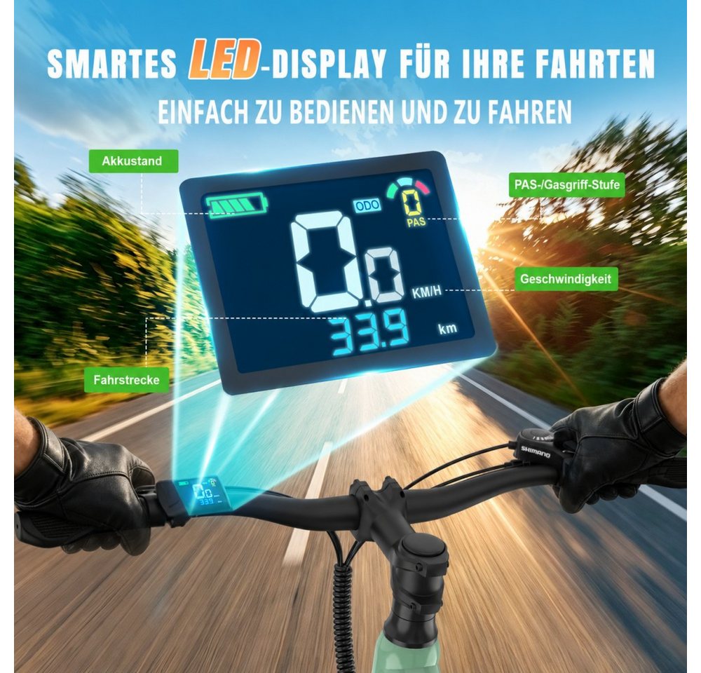 SSY E-Bike Elektrofahrrad fur Erwachsene, Heckmotor, (Komfortables E-Bike für Damen), Rahmen aus Karbonstahl Bild 5