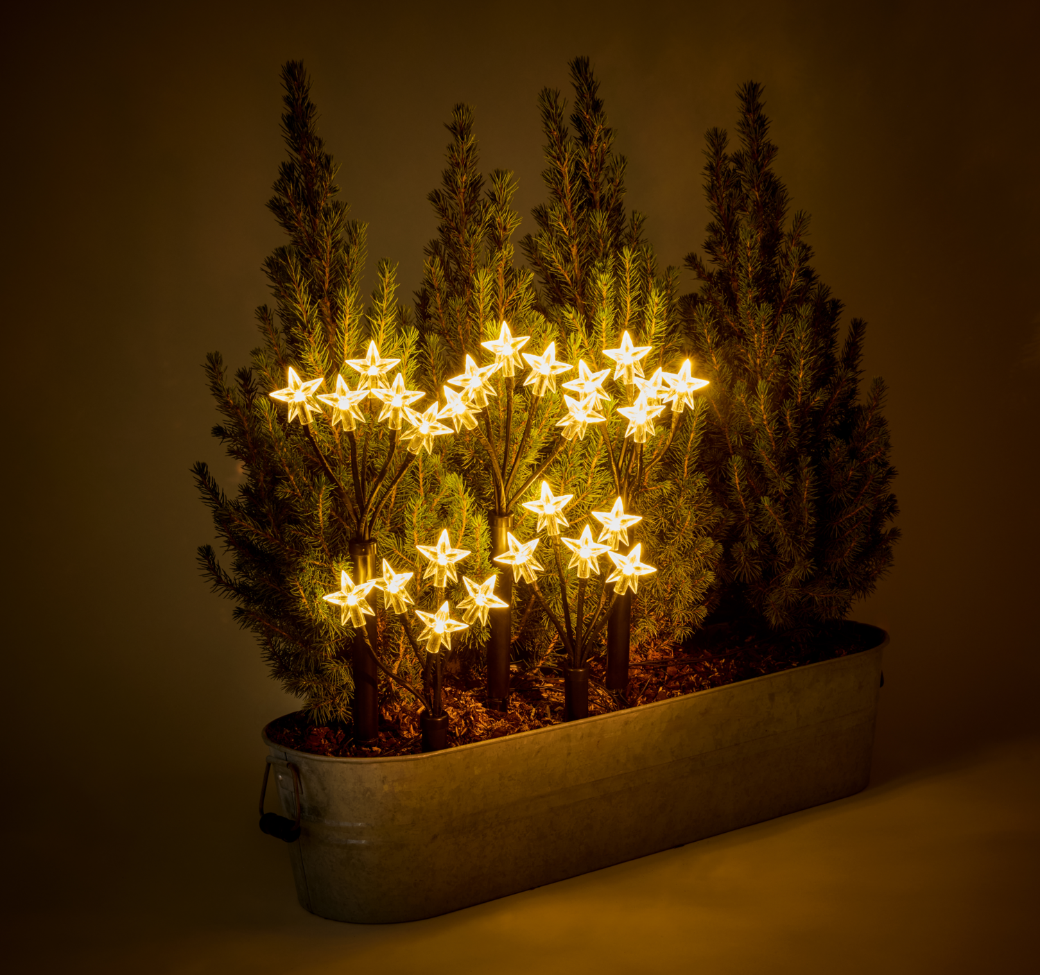 LIVARNO® LED-Leuchtstäbe (Sterne mit flexiblen Stäben)