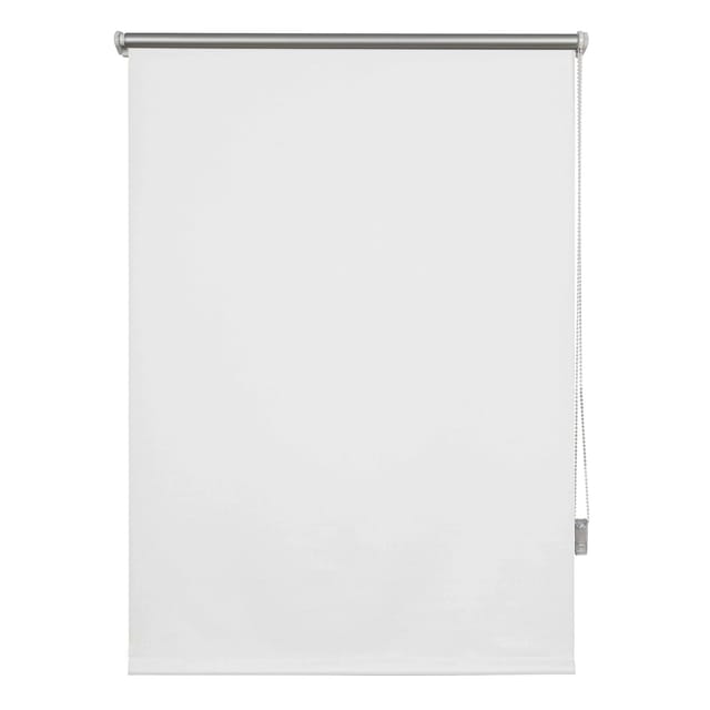 Ondeco Thermo-Rollo Win ohne Bohren Verdunkelung für Fenster und Türen lichtundurchlässig Größe: 100x160 cm, Farbvariante: Weiß