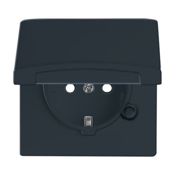 Busch-Jaeger 20 EUGKB-35-101 SCHUKO® Steckdosen-Einsatz mit Klappdeckel