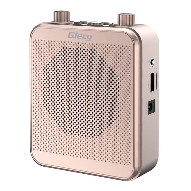 Tragbarer Sprachverstärker Mit Drahtlosem Uhf-mikrofon, 2800-mah-akku, Mp3-/tf-/usb-player, Fm-radio Und Aufnahmefunktion Für Lehrer, Reiseleiter Und Veranstaltungen – Roségold