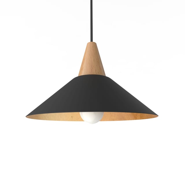 Funnel Pendelleuchte 25 Schwarz Blatt - Lumicom
