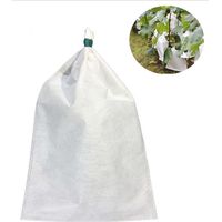 50 Schutzhüllen Für Obst, 20 X 30 Cm, Atmungsaktive Beutel, Insekten-, Vogel- Und Staubdicht, Ideal Für Gärten