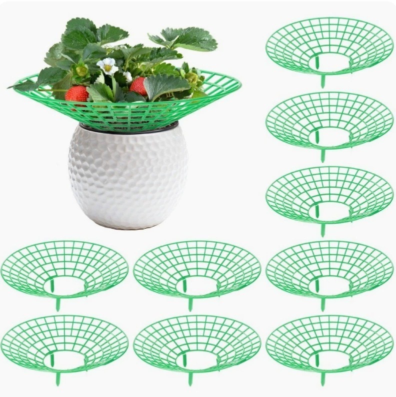 Stück Erdbeerpflanzenstütze, Abnehmbare Erdbeerstützen Aus Kunststoff, Durchmesser 30,6 Cm, Erdbeeranbaugestell Für Erdbeeren, Gemüse, Blumen, Pflanzen (grün)