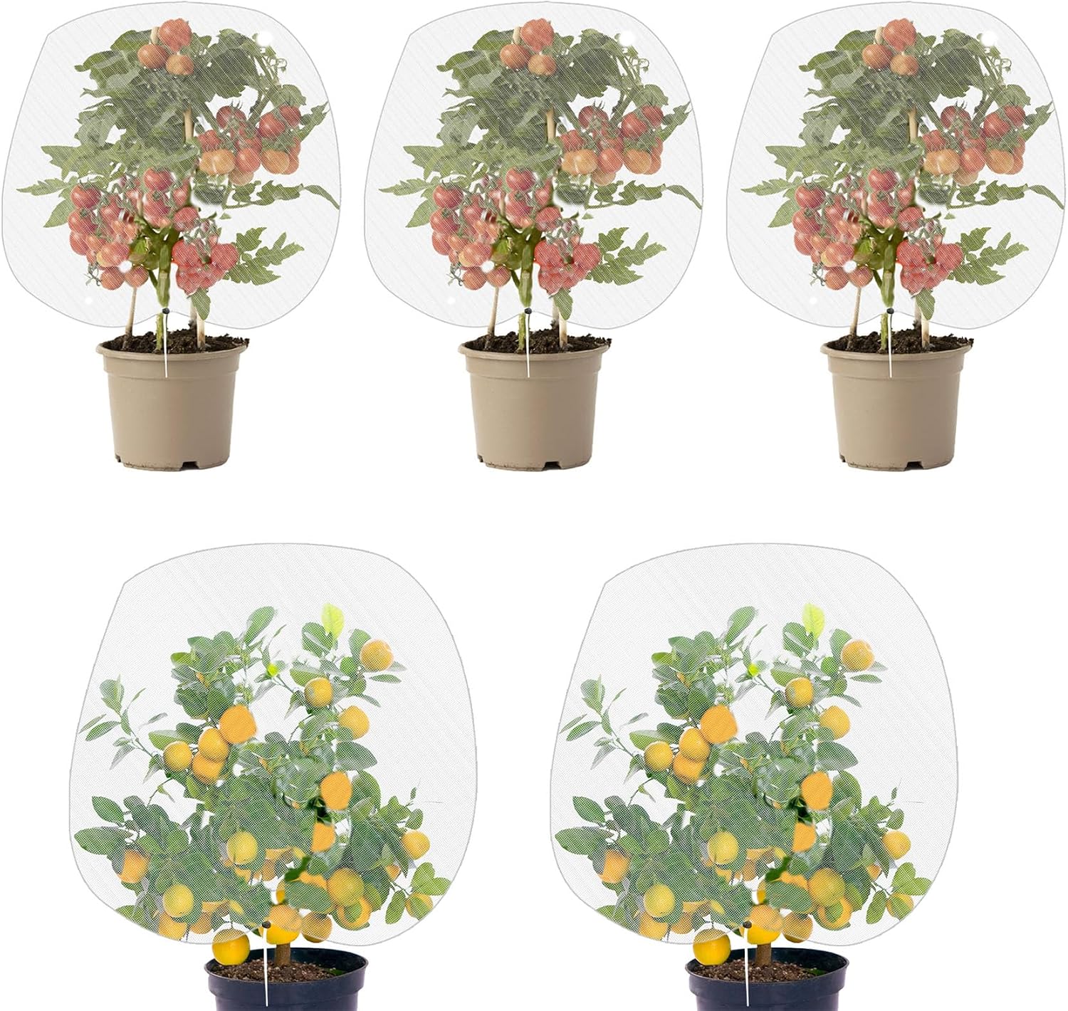 5er-pack Insektennetze Mit Kordelzug - Insektenschutznetz Für Gemüse - Insekten- Und Vogelschutznetz - 80 X 80 Cm