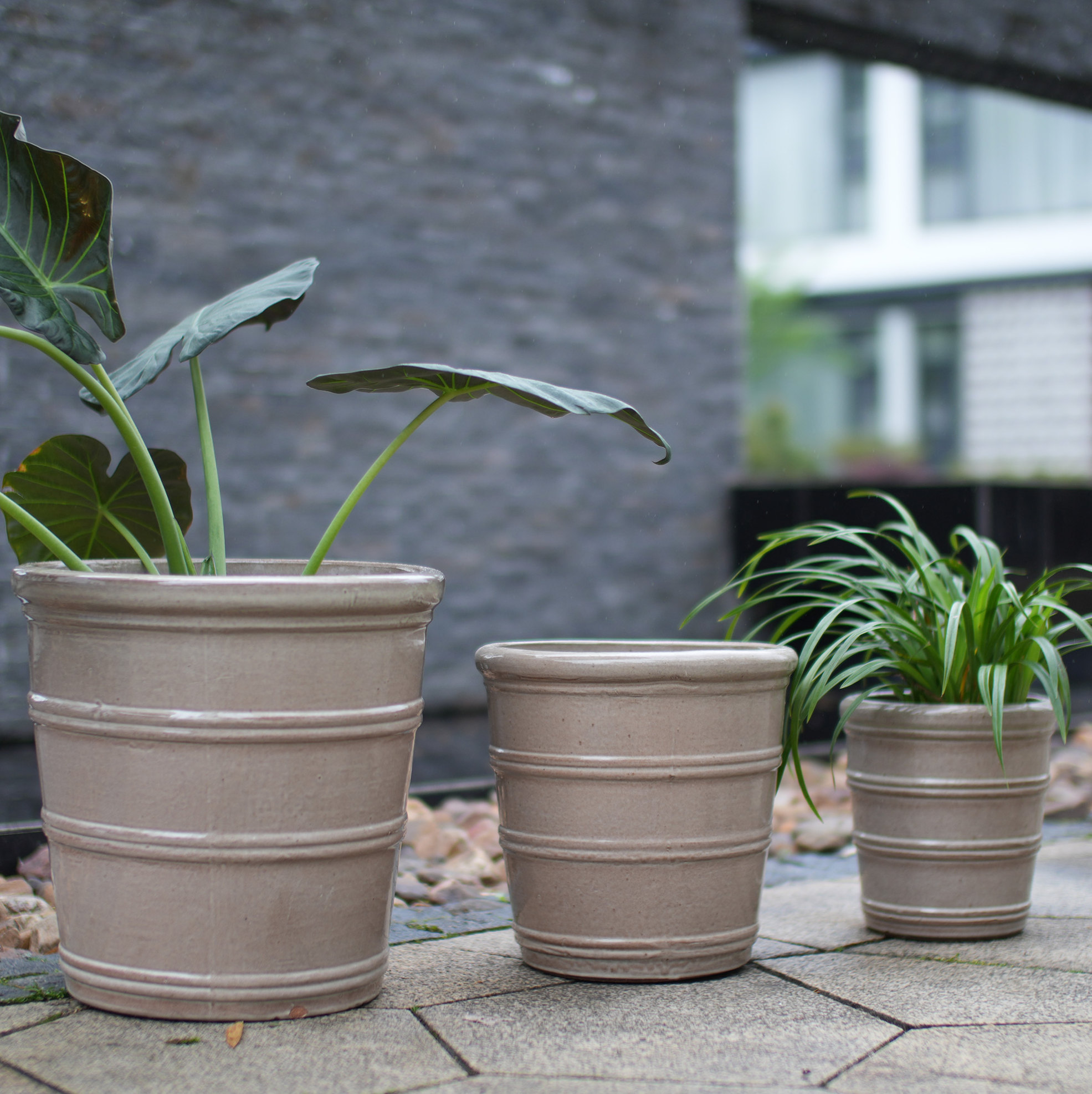 Handgefertigter Keramik-blumentopf Ø 24 Cm Mit Abflusslöchern, Glänzend Taupe