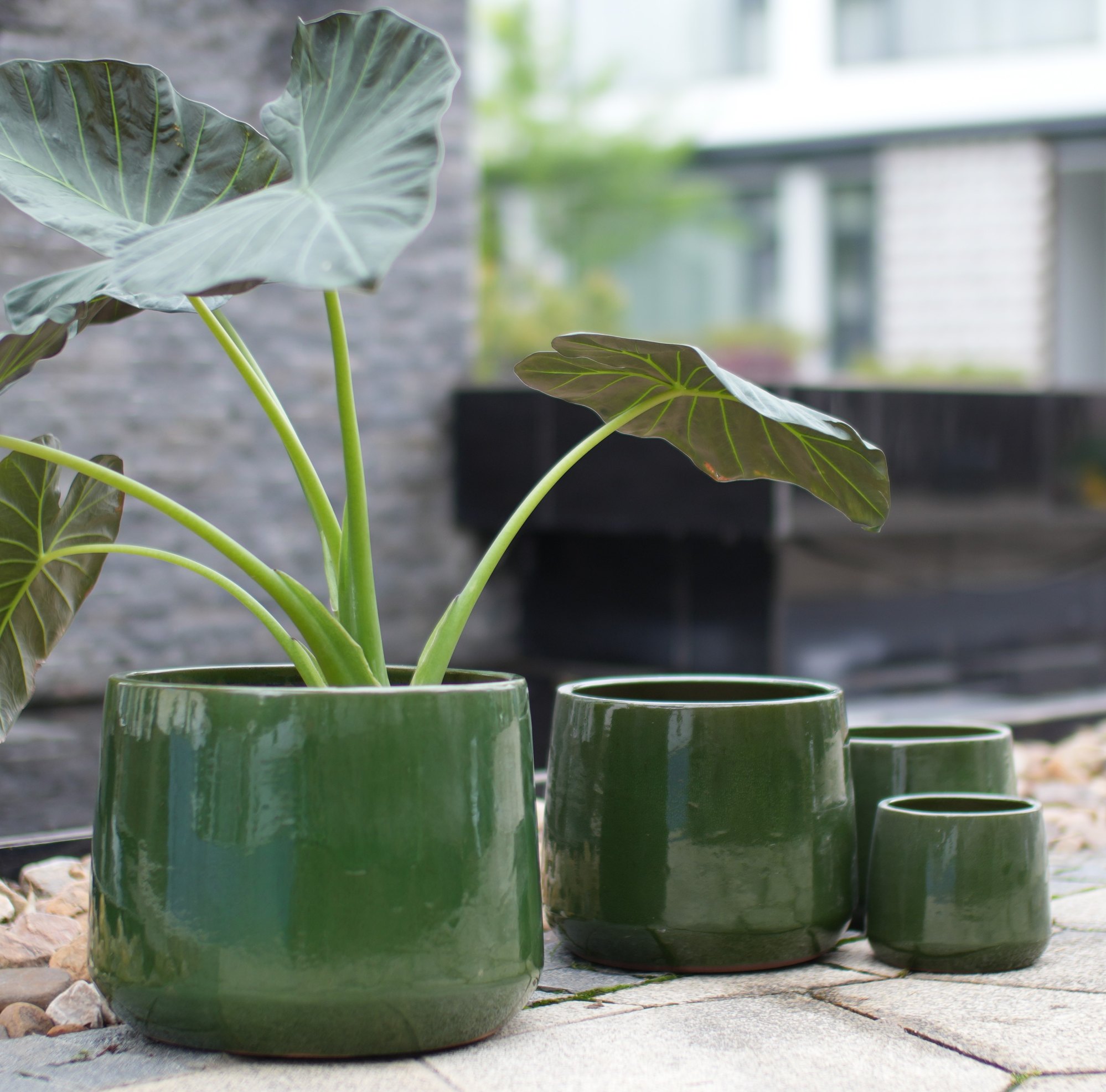 4-teiliges Keramik-pflanztopf-set Ø 33/26/20/15 Cm Dunkelgrün Glänzend Okwish