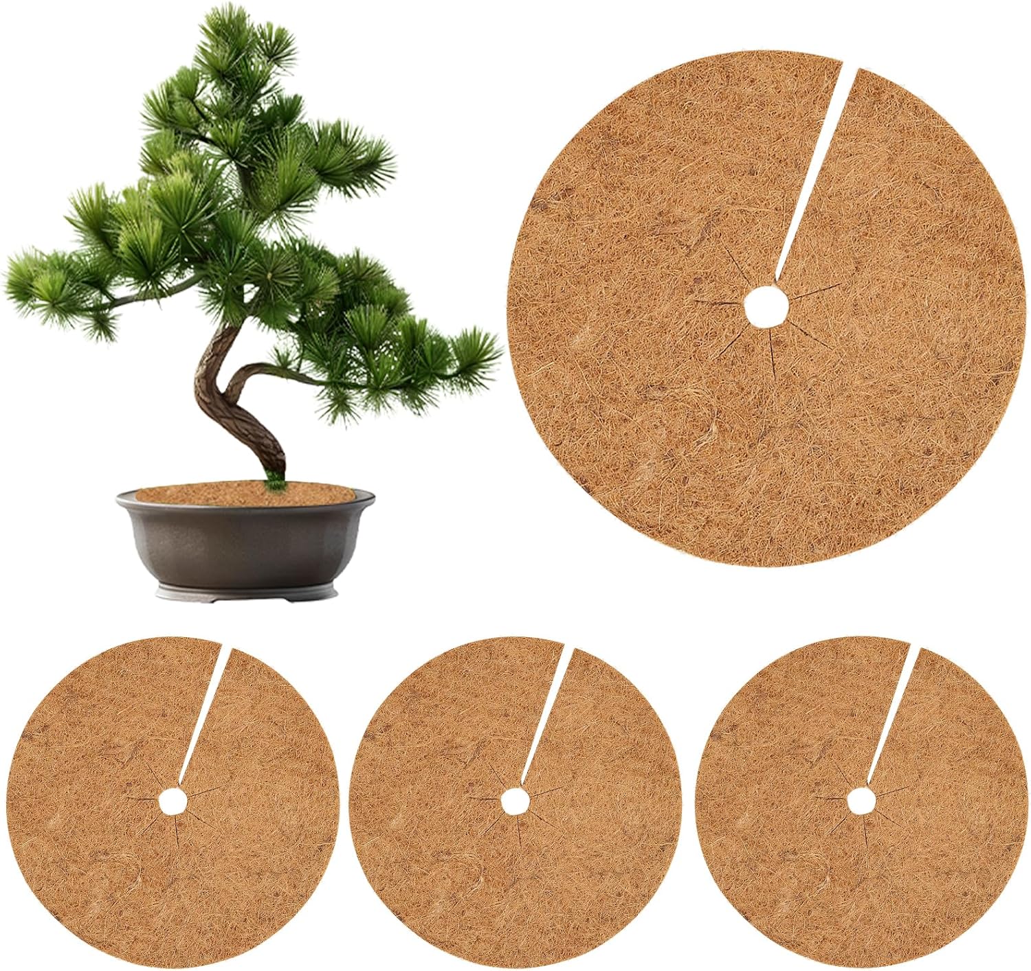 Stück 40 Cm Kokosmatte, Kokospflanzenmatte, Winterschutz Für Topfpflanzen, Pflanzenschutz Gegen Frost (40 Cm)