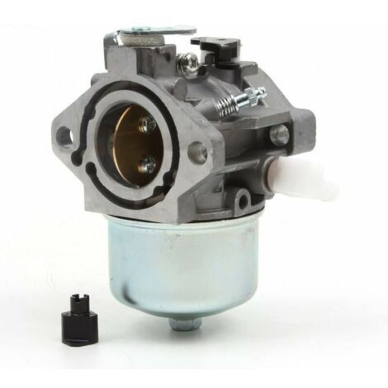 Pr Ersatz Des Vergasers Für Motoren 699831 694941 Für Gastondeusen 283702 283707 284702 284707 284777