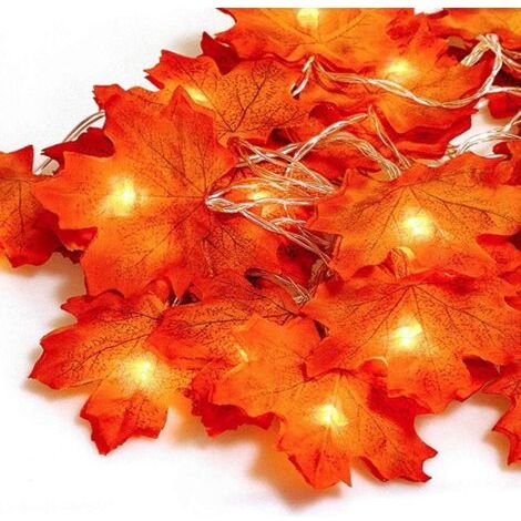 3 M Lange Lichterkette Für Den Außenbereich Mit 30 Leds – Blink- Und Dauerlichtmodi – Dekoration Für Halloween Und Thanksgiving