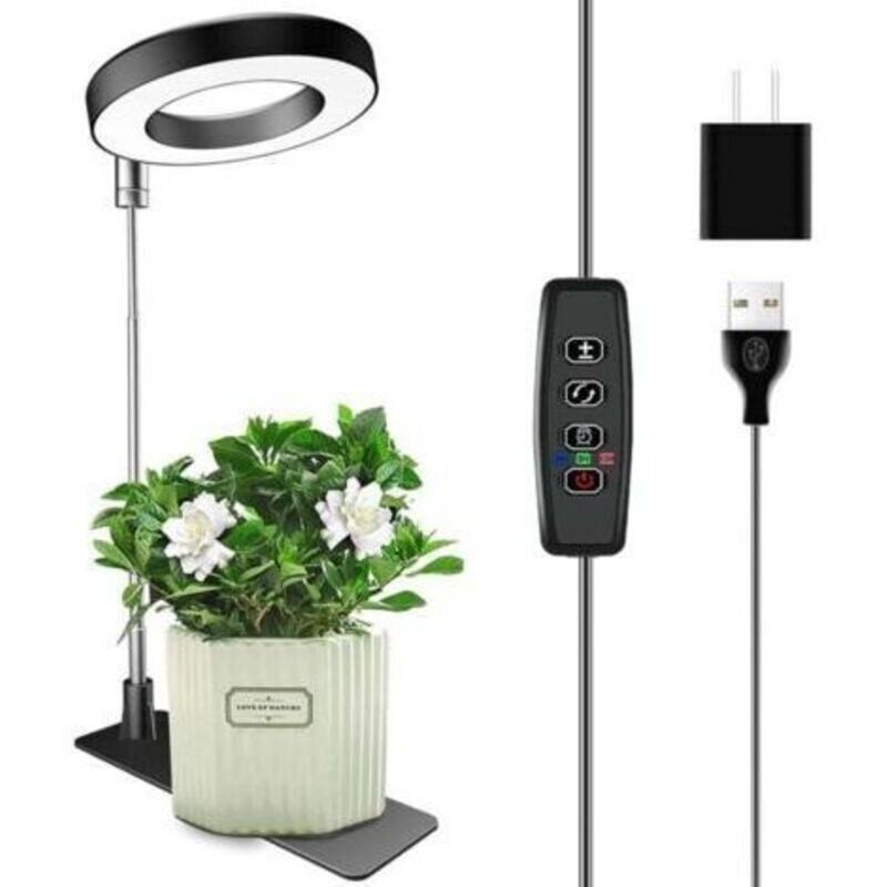 Lampe Für Schwarze Pflanzen Mit Einem Durchmesser Von 16–65 Cm, 1 Sockel Mit Adapter Für Weißes Licht Und Minuteneinstellung