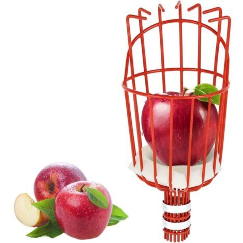 Pr Metall-obstpflücker Mit Klaue, Metall-obstpflückwerkzeug, Gartengeräte Zum Ernten Von Äpfeln, Zitrusfrüchten, Birnen, Pfirsichen