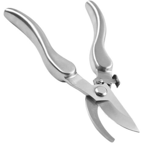 1 Pc Cisailles À Fruits De Jardin Ciseaux De Jardin Professionnels Ciseaux À Brindilles Sécateur De Branche Sécateur De Jardinage Brindilles Outils D'Élagage Ciseaux De Branche De