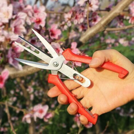 Ahlsen Dual Port Obst- Und Blumen-ausdünnungsschere, Gartenschere, Schere Mit Komfortablem Griff, Perfekt Zum Beschneiden Von Pflanzen, Hydrokulturkräutern, Blumenpflücken